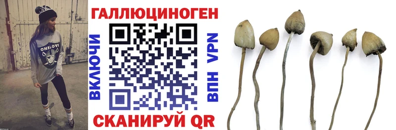 Галлюциногенные грибы MAGIC MUSHROOMS  Купить закладки  Баймак 